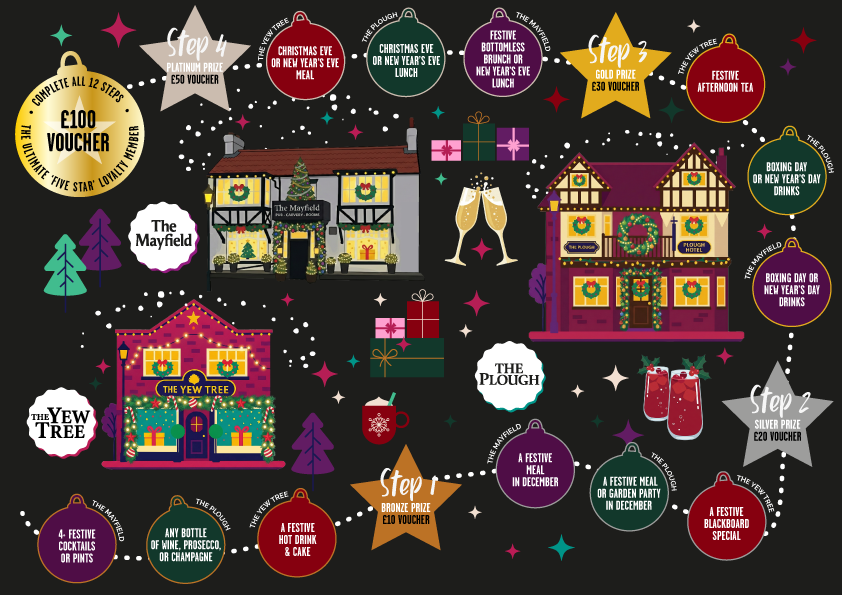 57185 five star advertorial record year snippet4